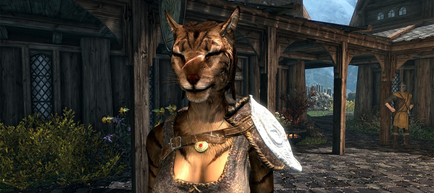 Фанаты Skyrim обсудили трудности Каджитской жизни в Скайриме