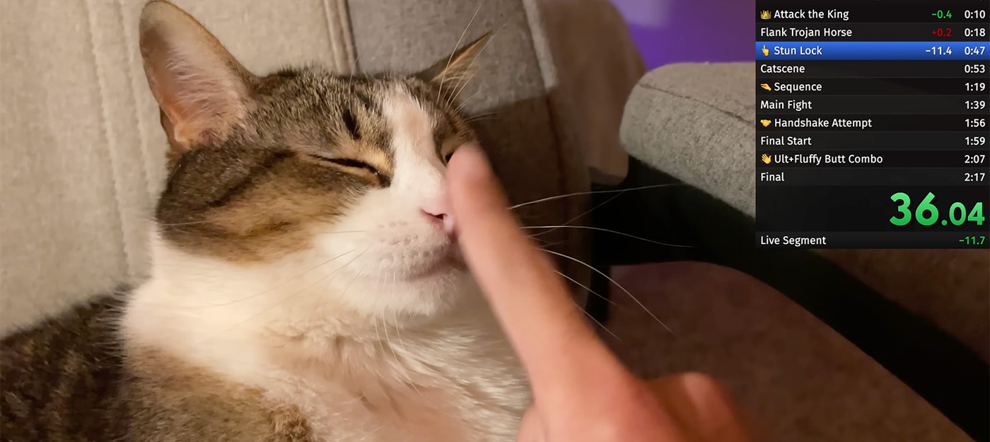 Ютубер превратил раздражение своего кота в серию спидранов