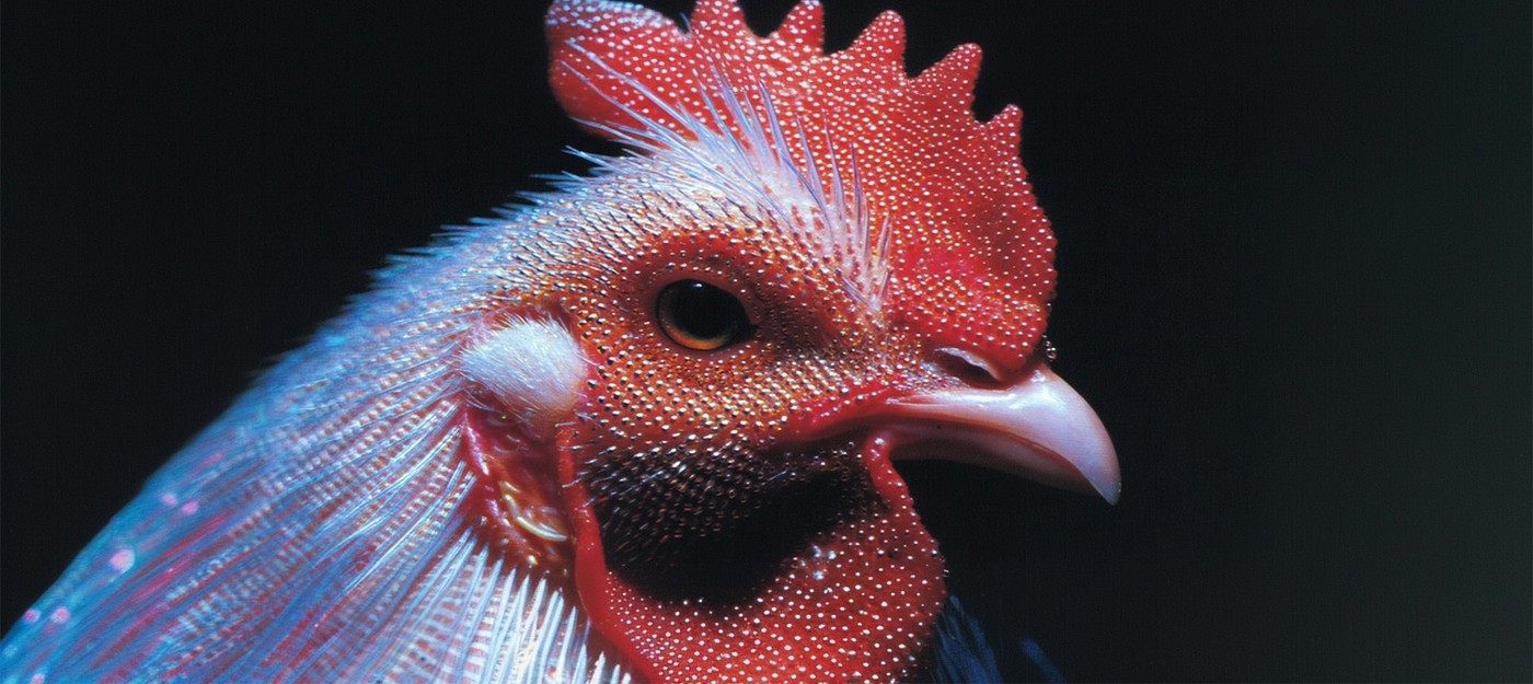 Как шутка в файле MS-DOS породила 33-летнюю легенду о взрывающихся куриных головах