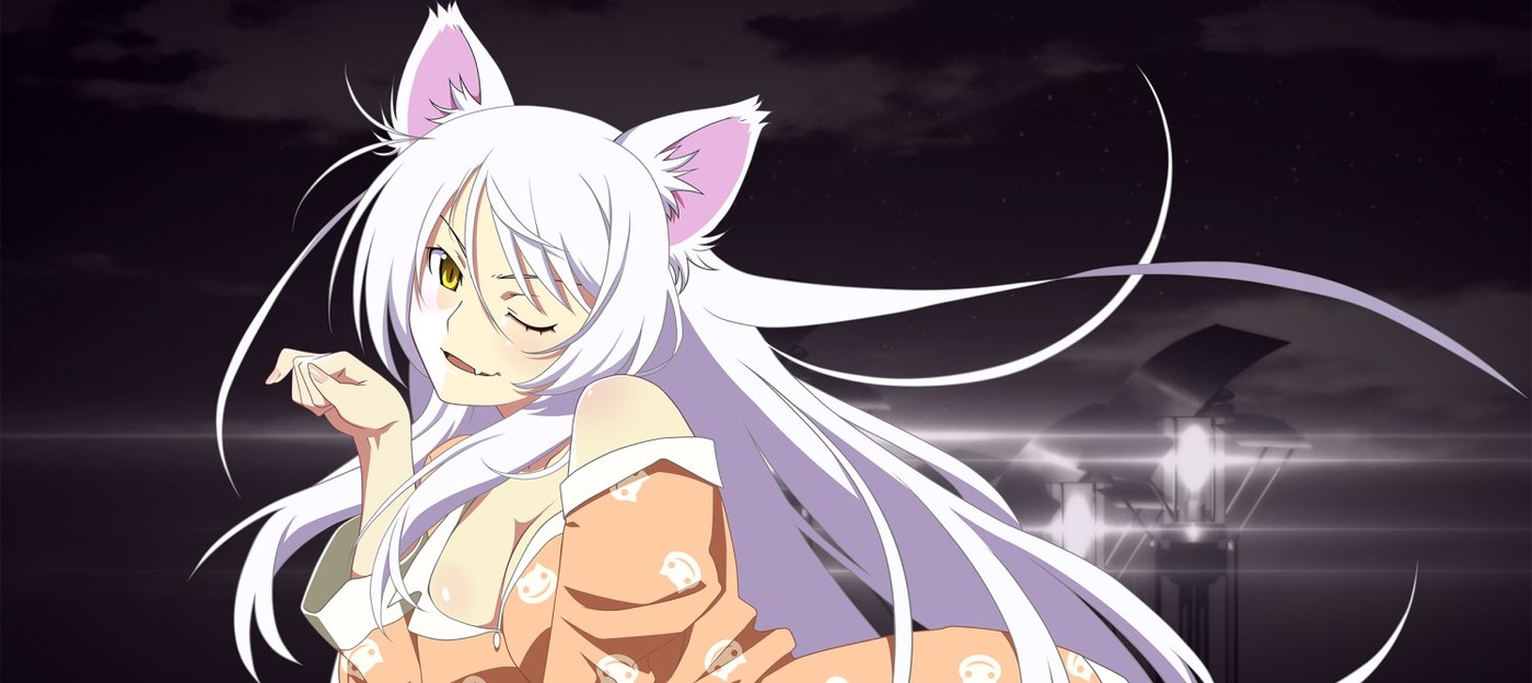 Ученые выяснили, что одомашнивание кошек произошло позже, чем считалось ранее