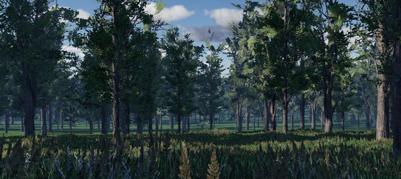 Ветераны The Elder Scrolls отказались от Unreal Engine в пользу собственного движка, чтобы сделать масштабную RPG The Wayward Realms доступной для всех