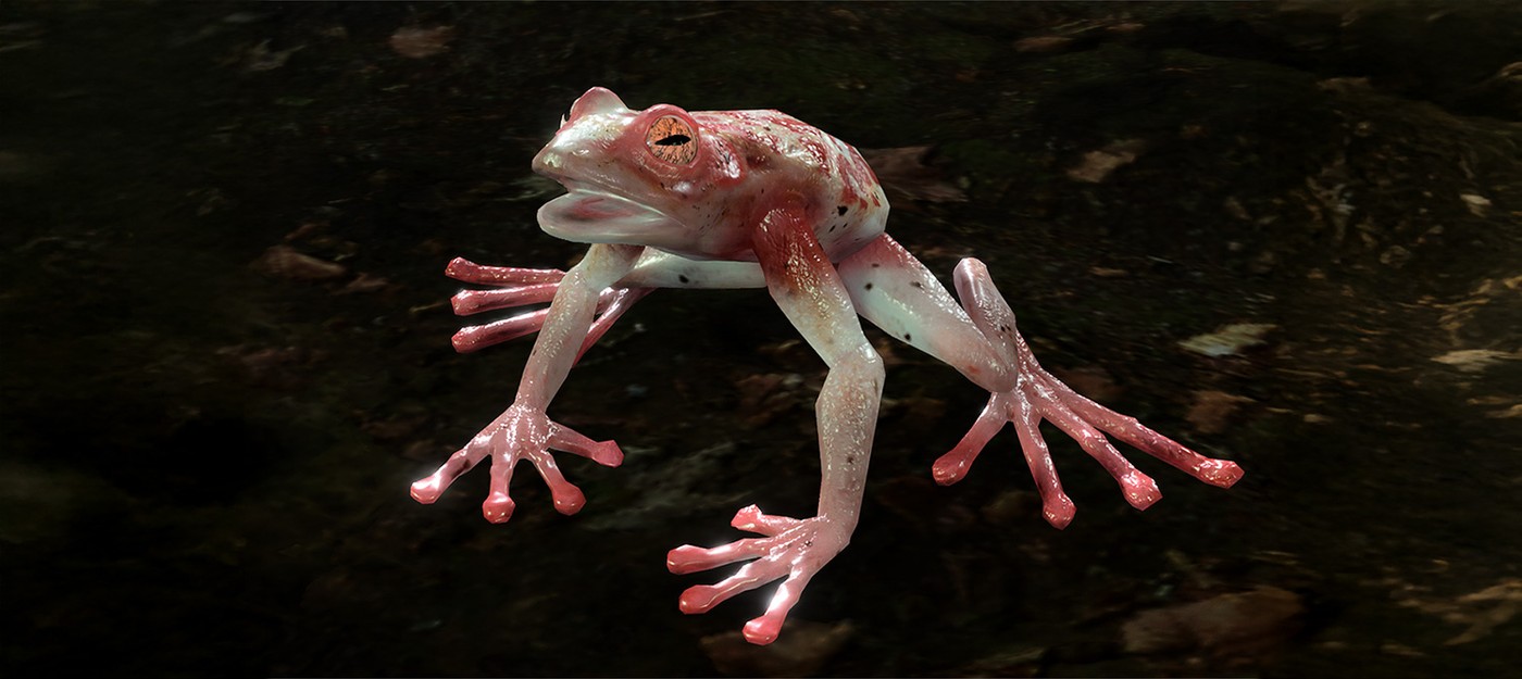 Игрок Baldur's Gate 3 на своей шкуре узнал, как маленькая лягушка может оборвать прохождение в режиме Чести