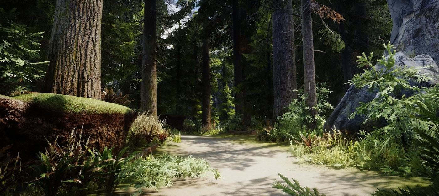 Тодд Говард намекнул на место действия The Elder Scrolls 6 – деревьев там будет больше, чем в Скайриме