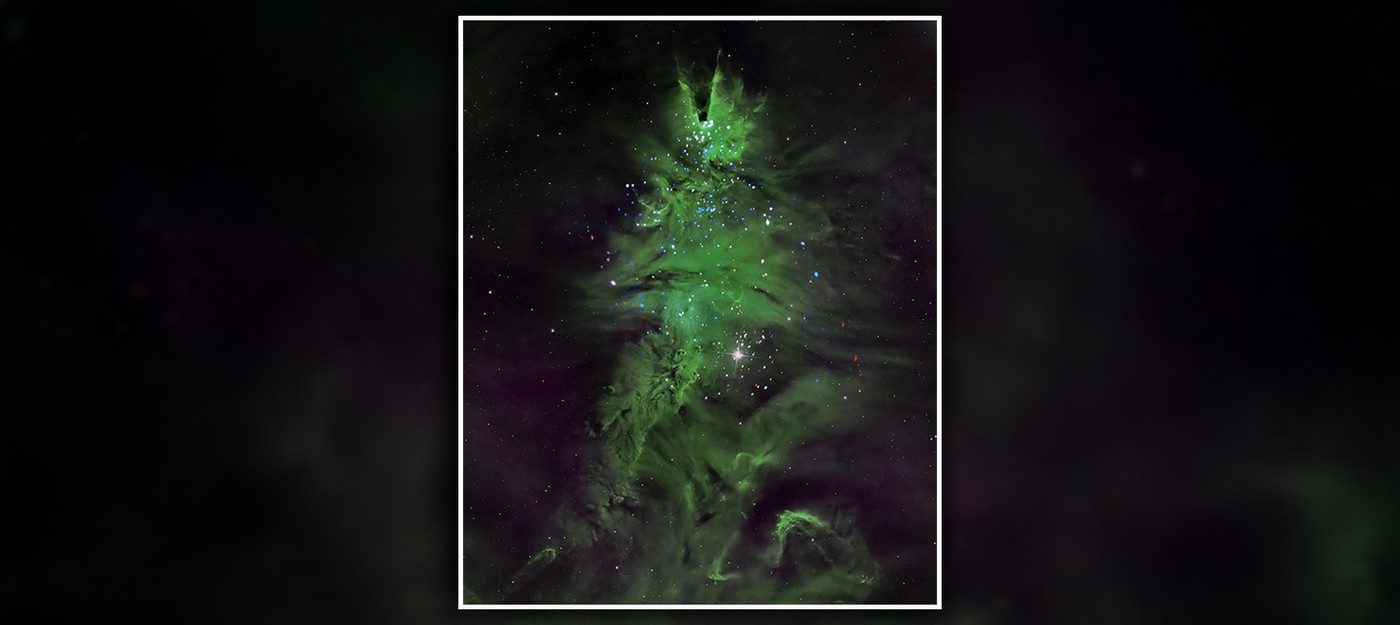 NASA показала космическую рождественскую ёлку из молодых звёзд