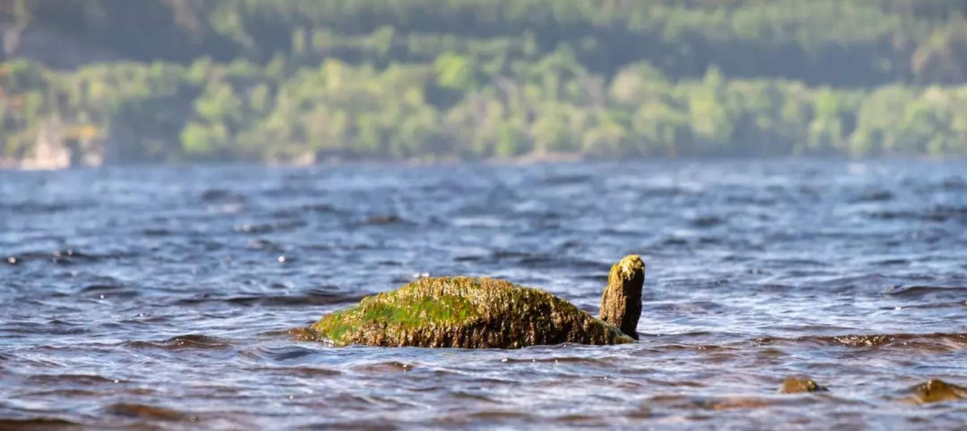 Охотник на Лох-несское чудовище после десятилетий поисков заявил, что монстр не существует