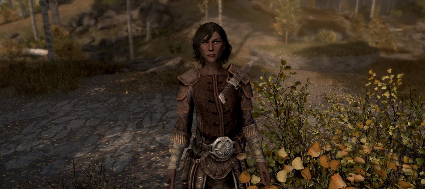 Фанатский мод для Skyrim создал спутника с 6450 озвученными репликами