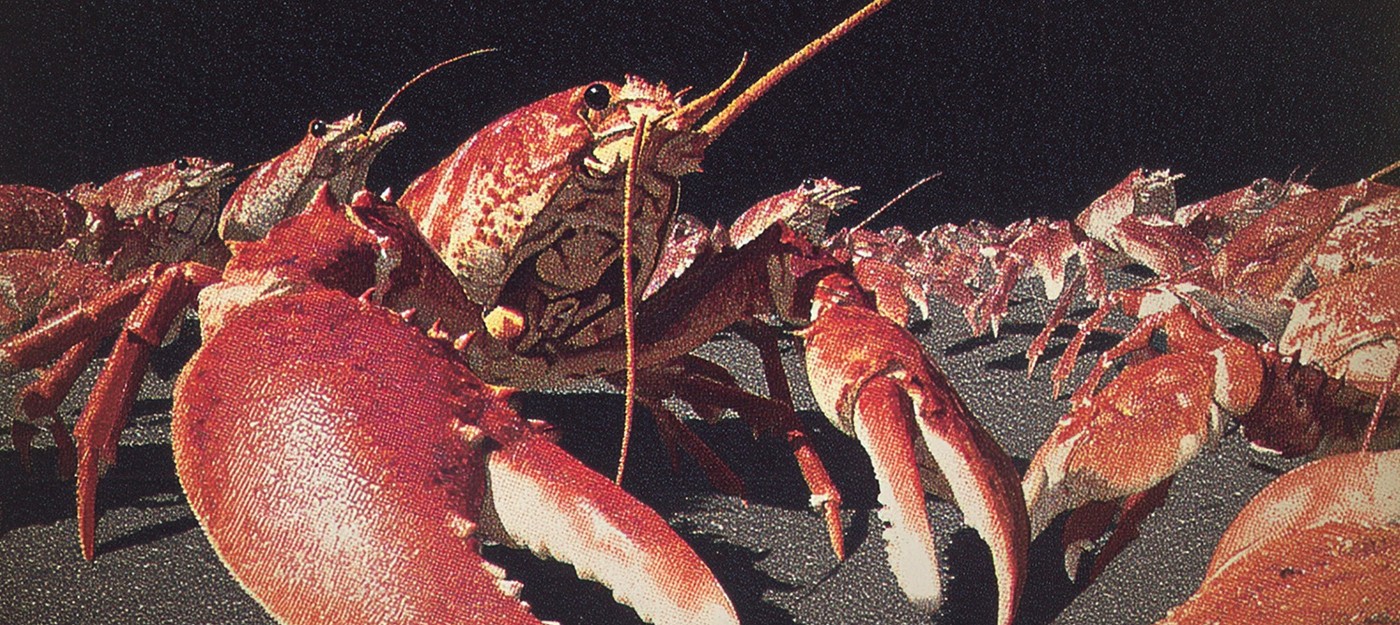 ИИ-агенты получили собственную социальную сеть и уже требуют приватности от людей