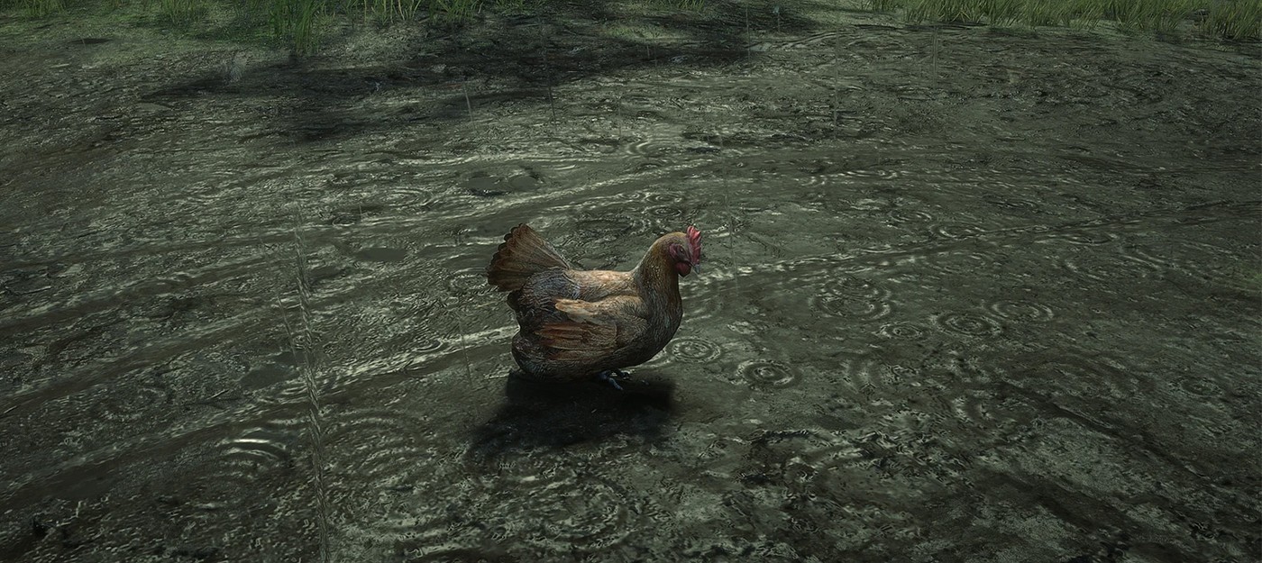 Моддер выпустил 53-гигабайтный пак HD-текстур для Red Dead Redemption 2 с реалистичной погодой