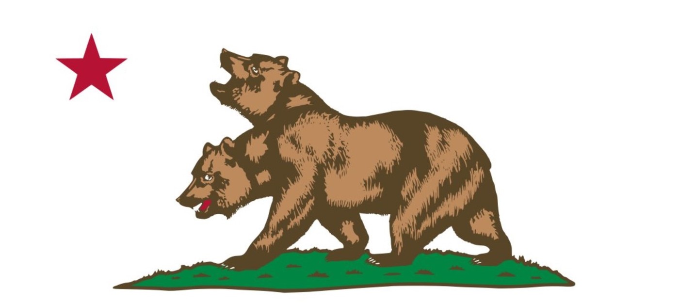 В дикой природе заметили двуголового медведя – фанаты сразу начали шутить о Fallout и НКР