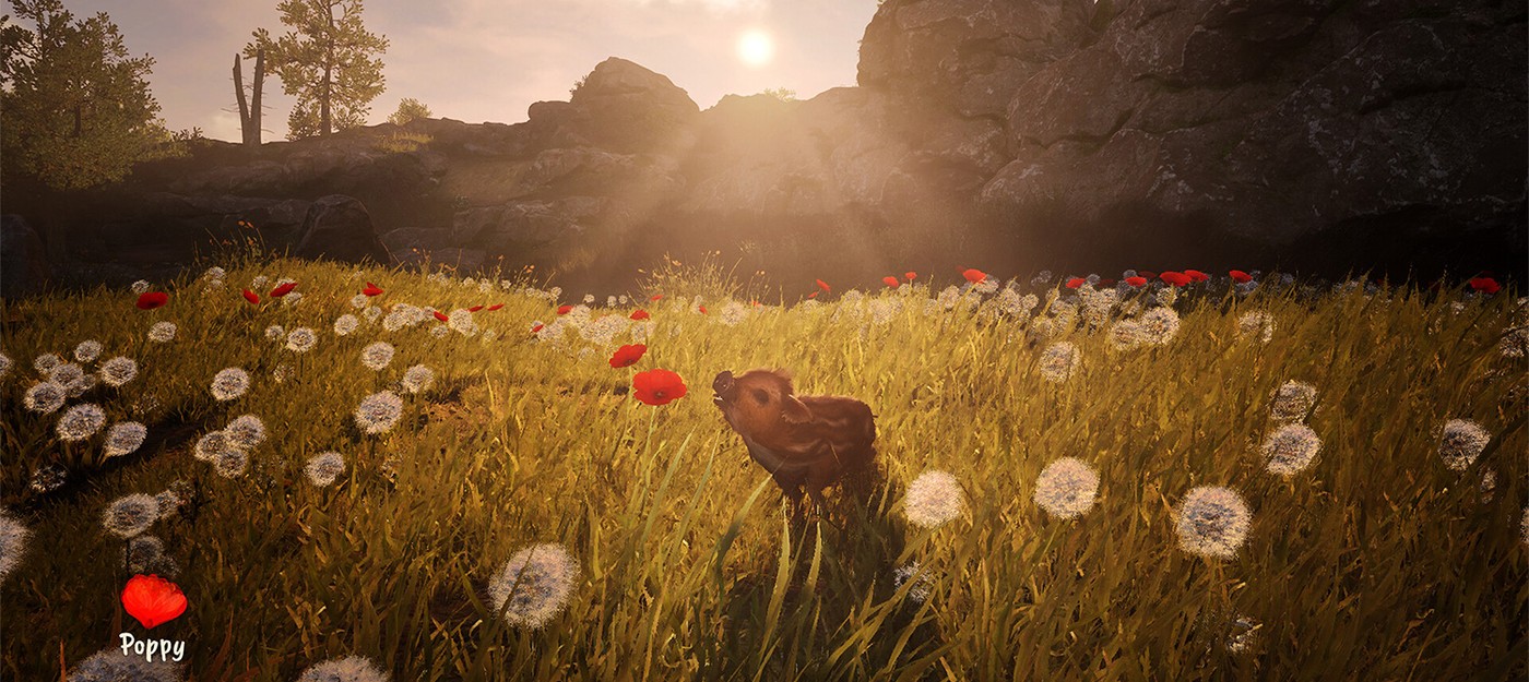 Милейший поросёнок Борис отправляется на поиски семьи – у уютной Adorable Adventures появилась дата выхода