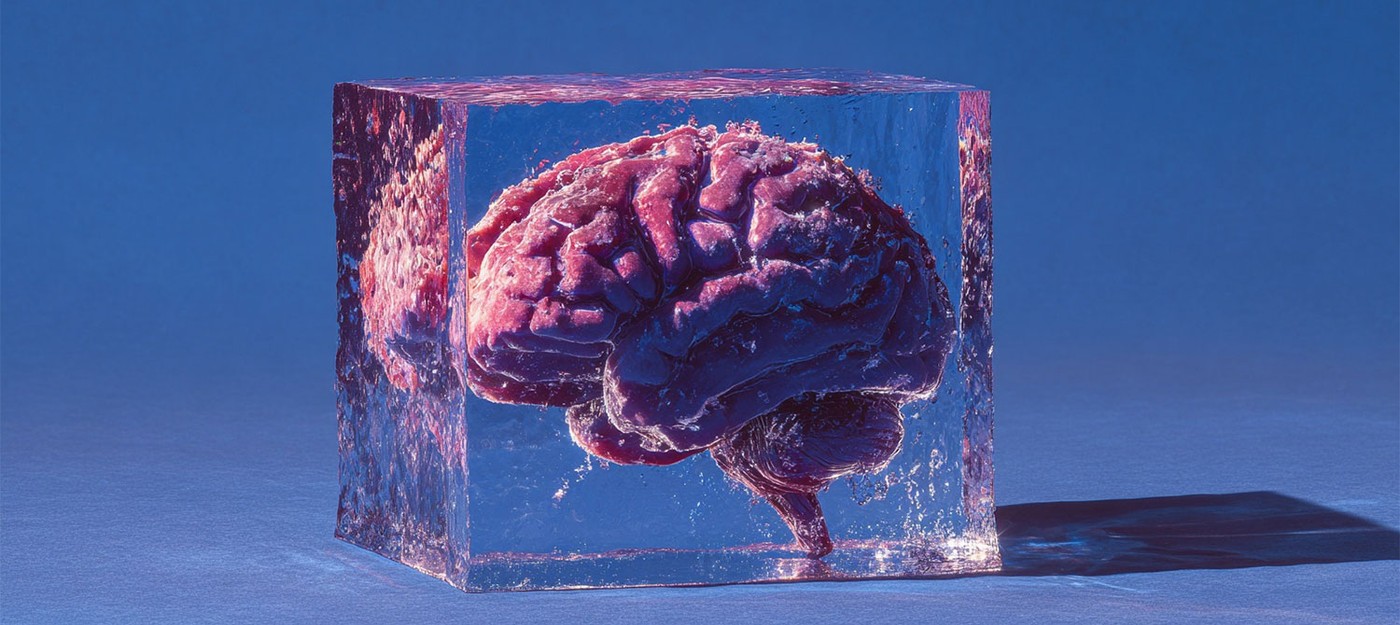 Замороженный мозг снова заработал – учёные впервые восстановили нейронные функции после глубокой заморозки