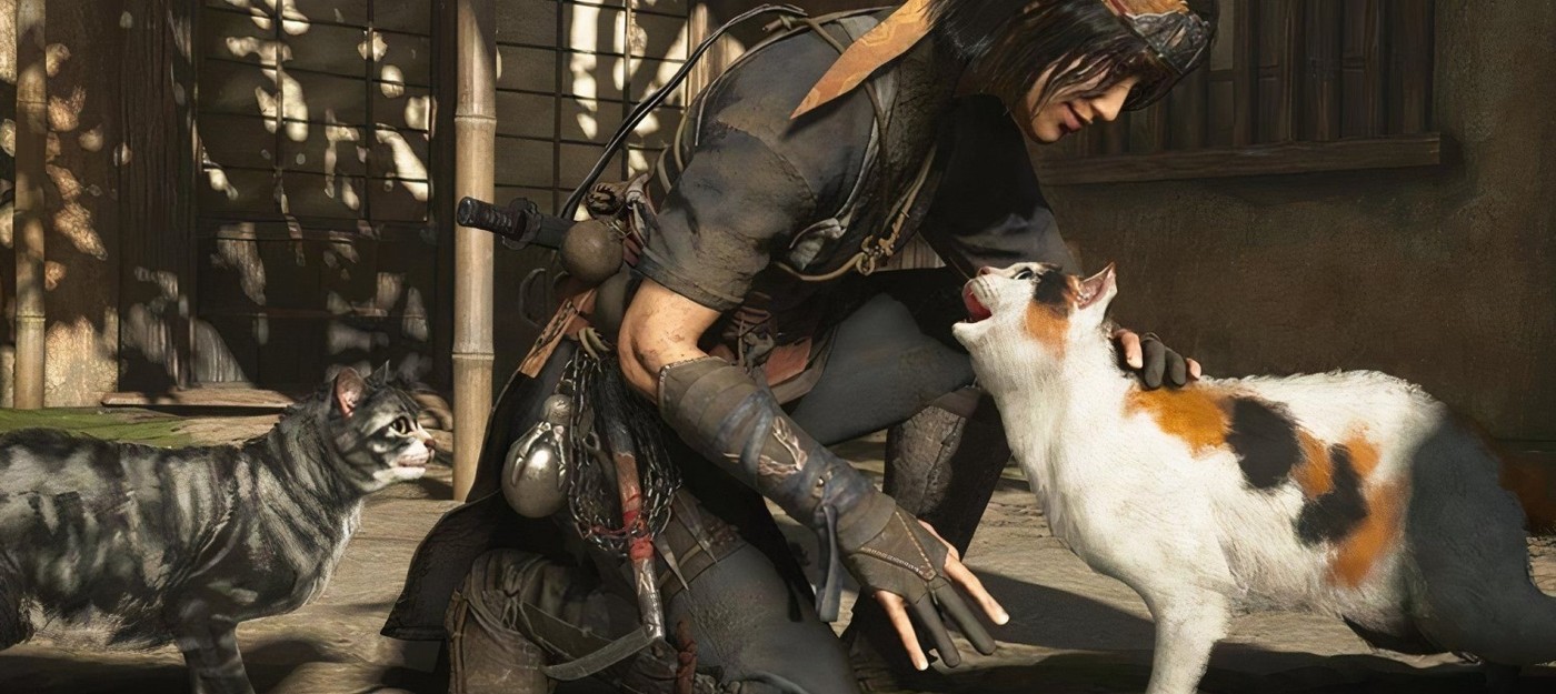 Игроки Assassin's Creed Shadows за год погладили более 26 миллионов кошек