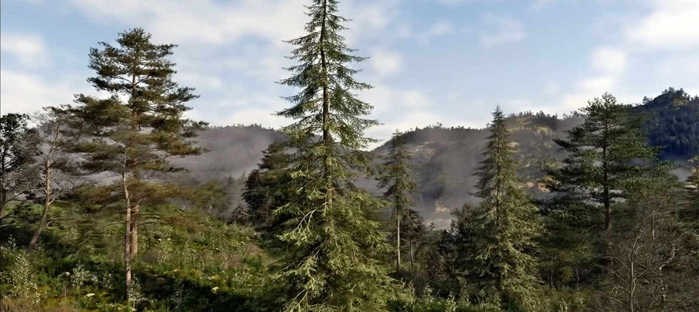 Демо с красивыми лесами The Witcher 4 на RTX Mega Geometry отображало 60 миллионов растений и работало на 80 кадрах в секунду в 4K на RTX 5090