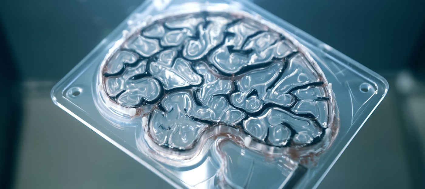 Живые нейроны крыс научили выполнять вычисления в реальном времени