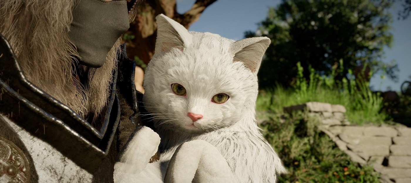 Издатель Palworld согласился с нехваткой врагов на позднем этапе Crimson Desert и посоветовал отличное место для прохождения испытаний