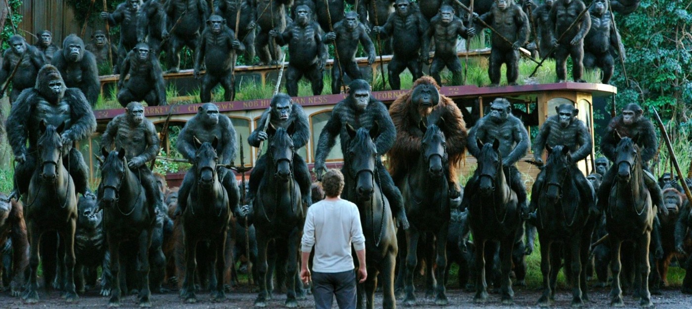 Ученые впервые наблюдали "гражданскую войну" внутри огромной группы шимпанзе