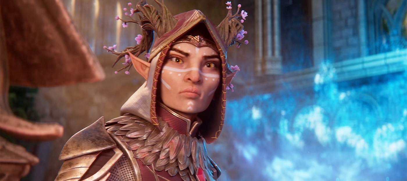 Руководители MMO Ashes of Creation тратили десятки тысяч долларов на личных поваров и коллекционные карточки