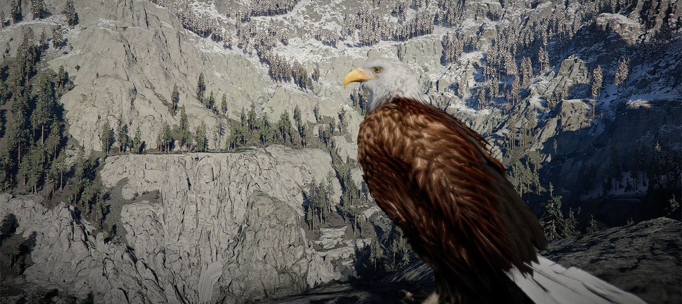 Игрок Crimson Desert проследил за орлом и обнаружил, что тот действительно охотится на рыбу