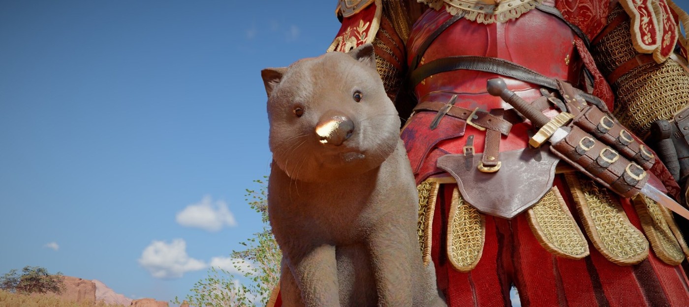 В Crimson Desert игрок нашел сундук с сокровищами благодаря милым вомбатам