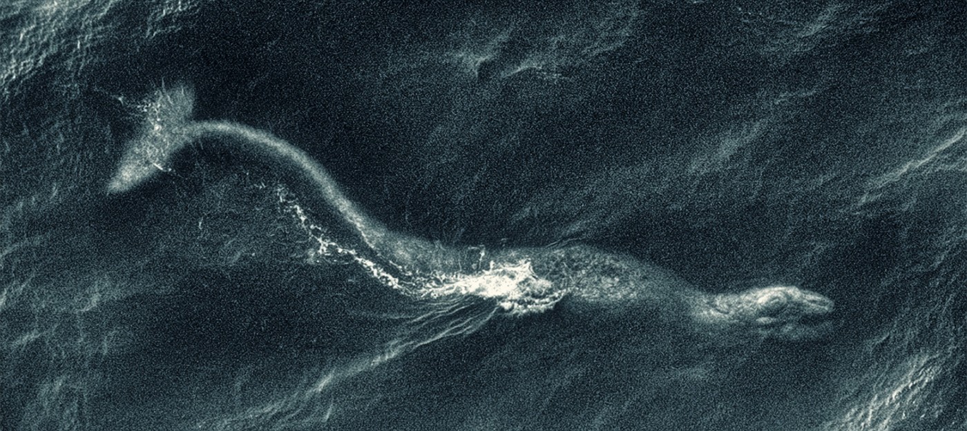 Лох-Несское чудовище впервые замечено в 2026 году после долгого затишья