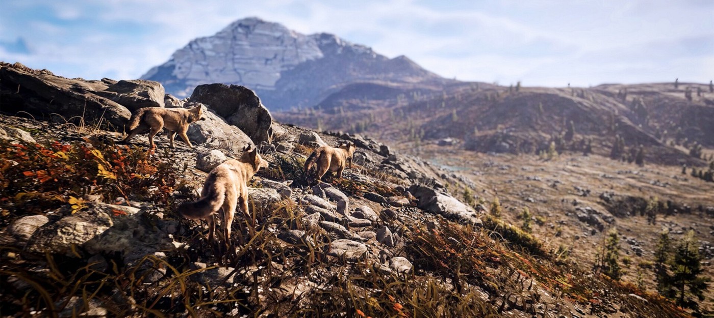 Кооперативный симулятор охотника Hunting Simulator 3 выйдет осенью на ПК и консолях