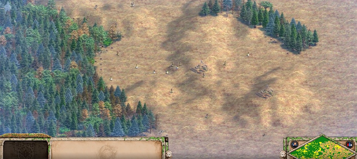 Игрок в Age of Empires 2 нарубил 10 миллионов дерева на карте Чёрный Лес и сломал счётчик ресурсов