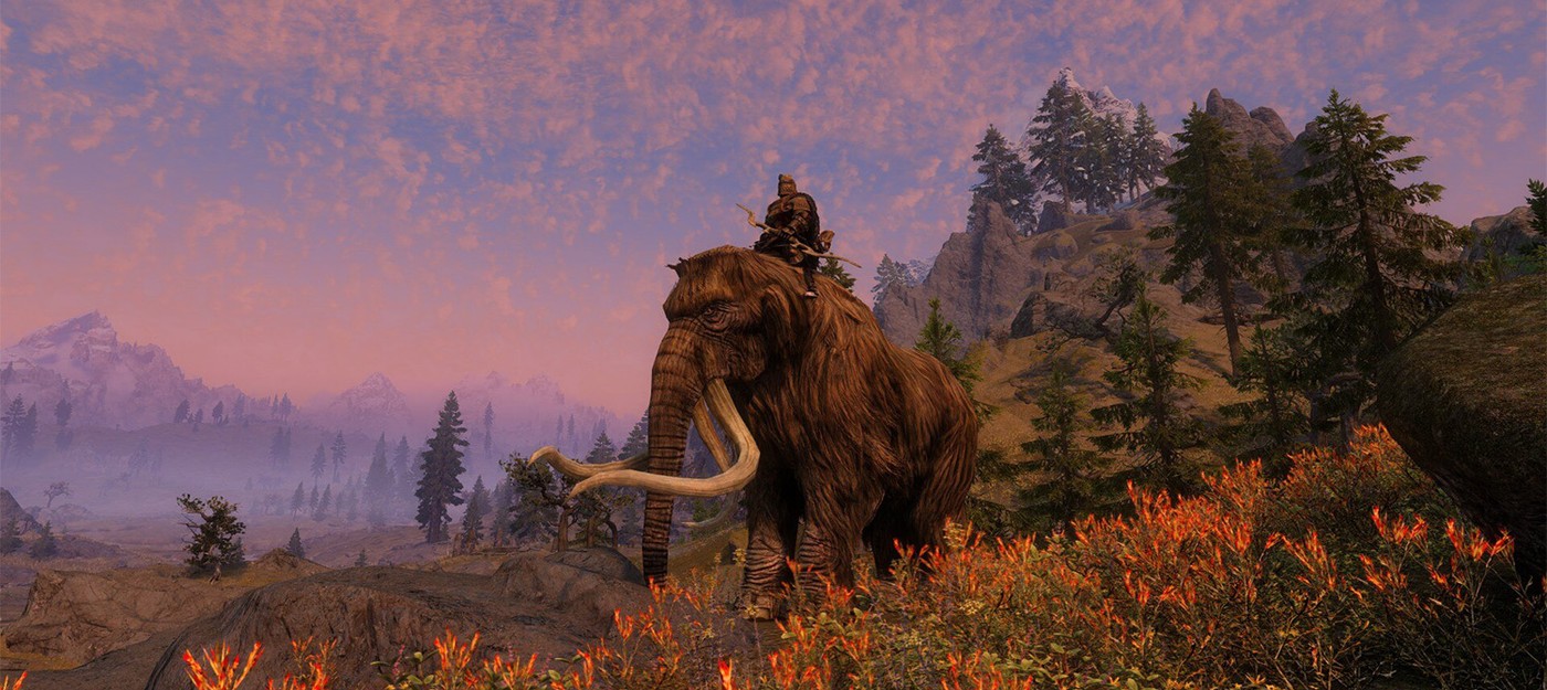 Игроки Skyrim обнаружили, что головы мамонтов на стенах – это целые туши, спрятанные за текстурой