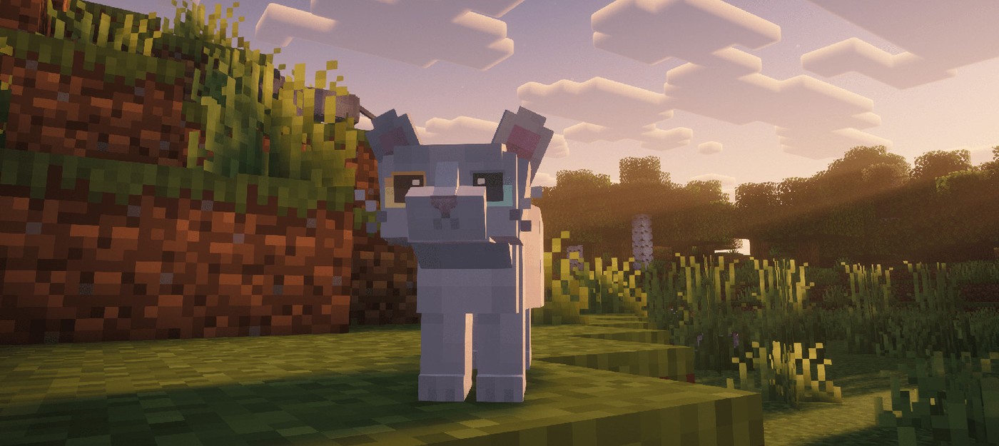 В Minecraft произошёл несчастный случай, когда тыква выросла прямо на коте и удушила его