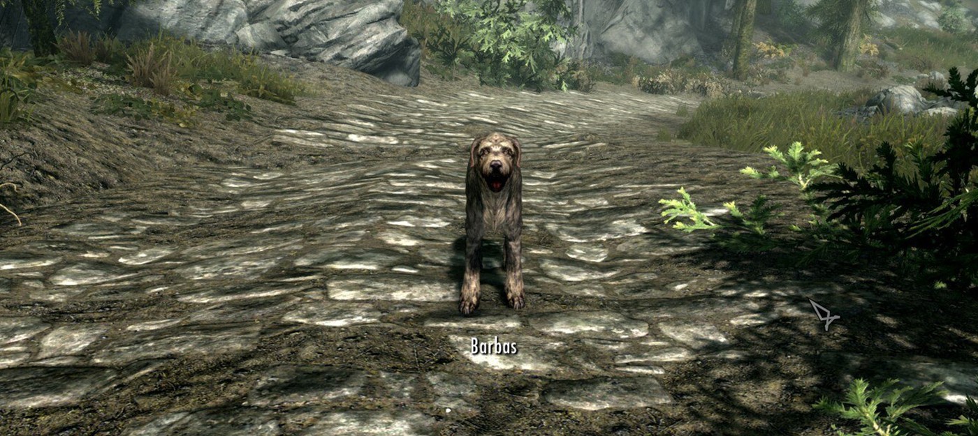 Новичку в Skyrim понадобилось 15 часов и говорящий пёс Барбас, чтобы понять, за что любят игру