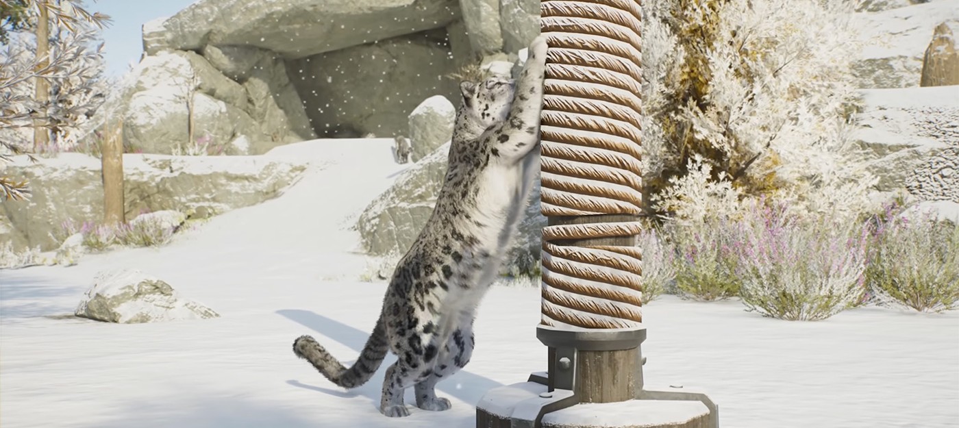 Снежный барс появится в Planet Zoo 2, а до релиза осталась неделя
