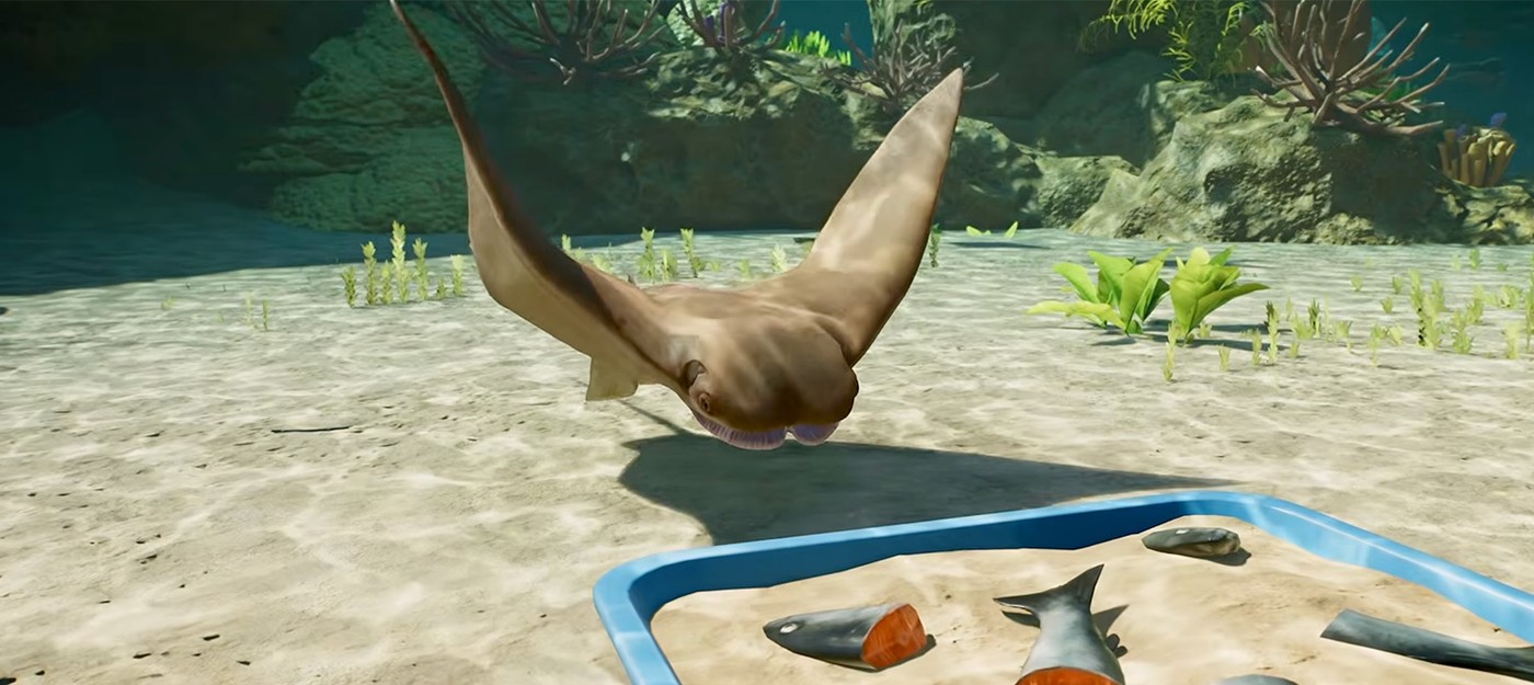 Для Planet Zoo 2 показали морского ската – яванского коровоноса