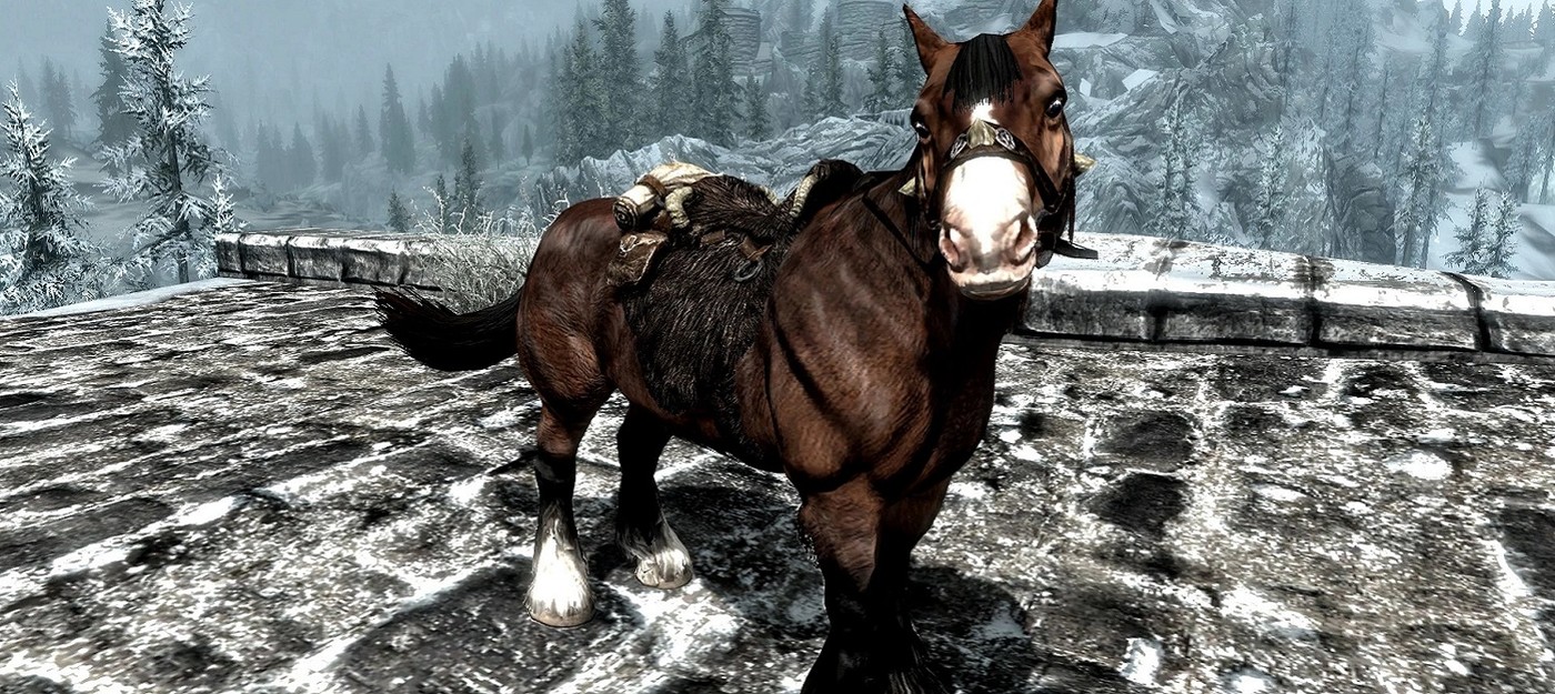 Лошадь из Skyrim озадачила геймера умением передвигаться лунной походкой