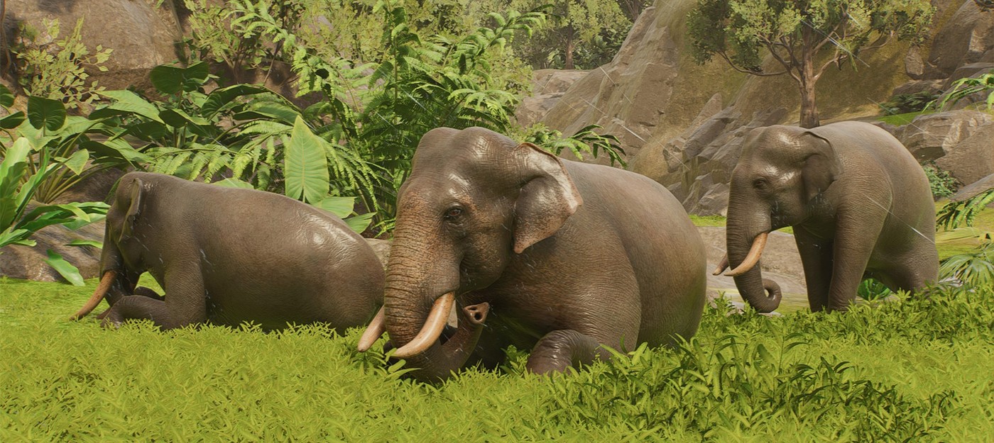 Planet Zoo 2 побила рекорд оригинала в Steam в первый же день – более 40 000 игроков онлайн