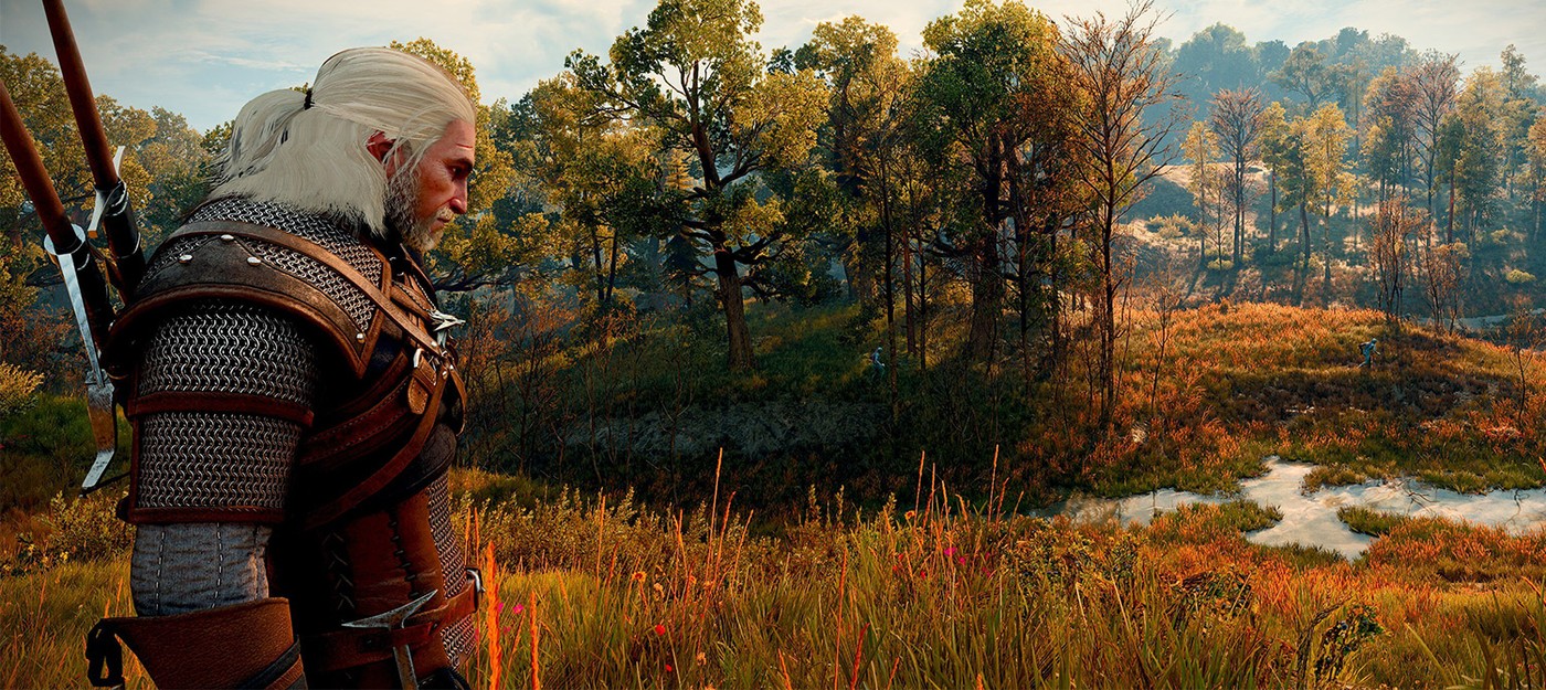 Мод с 5 пресетами для The Witcher 3 Remastered сделал Геральта и Плотву заметно отзывчивее