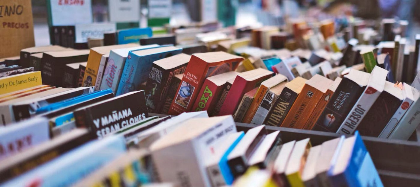 Писательница из ЮАР заработала на ИИ-книгах более миллиона долларов за год