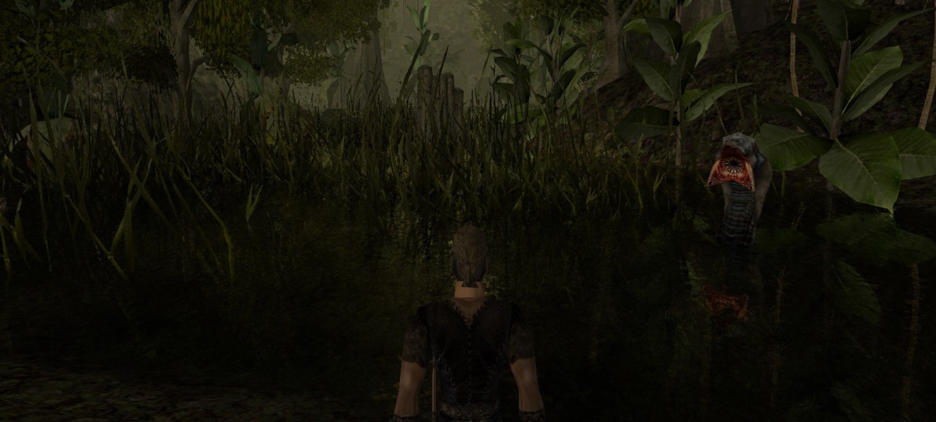 Gothic 2 на DirectX 11-рендере при 60fps