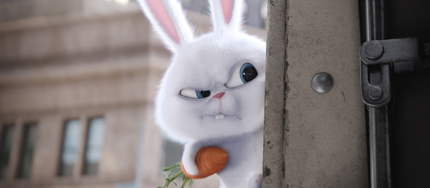 Кролик из тайная жизнь домашних животных картинки