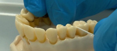 Первый в мире препарат для регенерации зубов будет протестирован на людях в сентябре