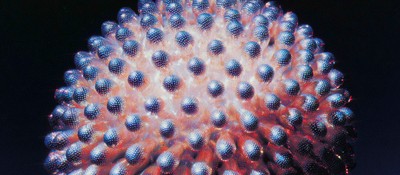 Пользователь случайно получил доступ к внутреннему документу, который формирует поведение Claude