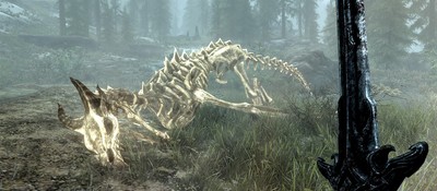 Необычная забава игроков Skyrim – запуск мертвых драконов в небо ради последнего полёта