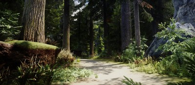 Тодд Говард намекнул на место действия The Elder Scrolls 6 – деревьев там будет больше, чем в Скайриме