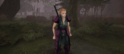 Разработчик-одиночка создает масштабную ролевую игру с открытым миром в духе Gothic и Berserk – проект собрал $255 тысяч на Kickstarter за считанные часы