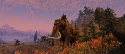Игроки Skyrim обнаружили, что головы мамонтов на стенах – это целые туши, спрятанные за текстурой