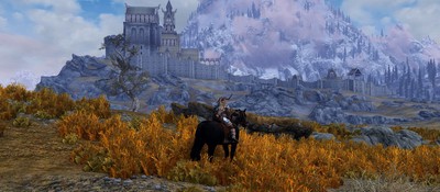Игрок Skyrim математически доказал, что Вайтран это лучшая столица провинции