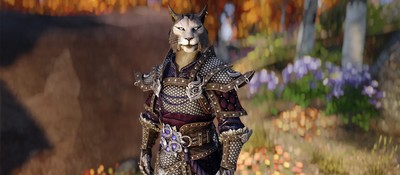Увольнения в Bethesda затронули художницу с 27-летним стажем, придумавшую облик каджитов и аргониан из Skyrim