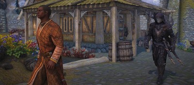 Игрок нашёл в модифицированном Skyrim булаву, которая лечит цель при ударе – ему тут же предложили испробовать её на Назиме