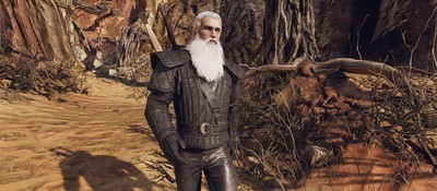 Только 5,6% игроков прошли самый редкий квест The Witcher 3
