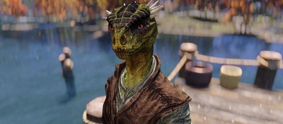 Игрок в Skyrim понял, что он идиот, когда зачаровал шлем на водное дыхание при игре за аргонианина