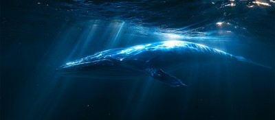 Новая модель DeepSeek догоняет Claude и GPT за копейки, но слишком часто выдумывает факты