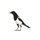 magpie